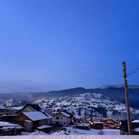 Park House Daire Palyanytsya Dış mekan fotoğraf