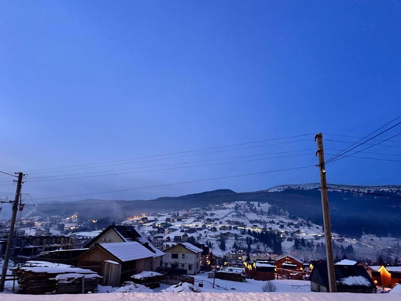 Park House Daire Palyanytsya Dış mekan fotoğraf